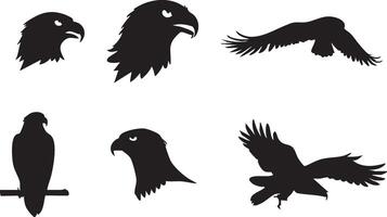 Hawk Artwork for Nature-Themed Graphic Projects vector