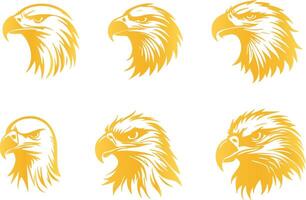 Soaring Golden Eagle Artwork for Creative Projects vector