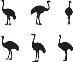 Wild Bird Face Design for Nature and Wildlife Projects vector