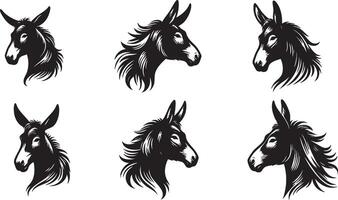 Mule Head Drawing for Agricultural Art and Graphics vector
