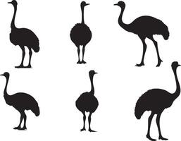 Ostrich Head Silhouette for Exotic Animal Artwork vector