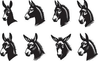 Mule Face Profile for Animal Art and Designs vector