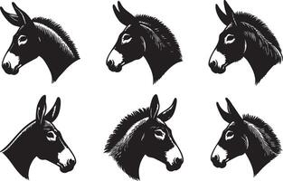 Donkey and Mule Face Design for Creative Projects vector