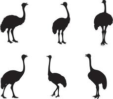 Ostrich Profile for Animal Illustration vector