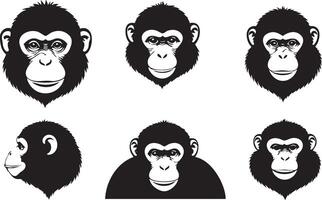Wild Primate Face for Jungle Animal Art vector