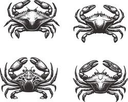 Crab Shadow Silhouette for Subtle and Elegant Seaside Art vector