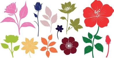 A set of flowers in various colors vector
