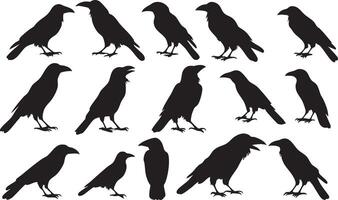 Crow in Flight Silhouette for Nature and Wildlife Creations vector