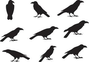 Crow on Branch Silhouette for Natural and Peaceful Artwork vector