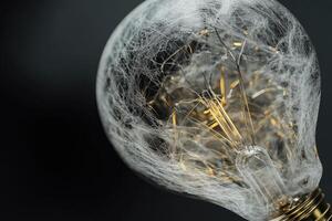 A Light Bulb Covered in a Delicate Web photo