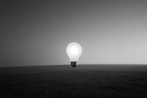 A Single Illuminated Lightbulb Standing in a Field of Grass photo