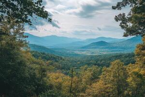 Majestic Mountain Range View Autumn Foliage photo