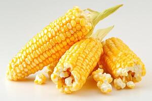 Golden Corncobs Freshly Harvested Ready To Eat photo