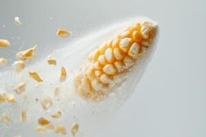 Frozen Corn Kernels Exploding In Slow Motion photo