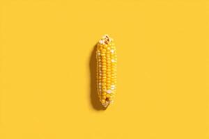 Single Ear Of Corn On Yellow Background photo