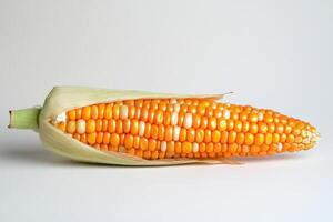 Single Ear Of Yellow Corn In Husk On White Background photo