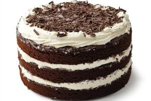 Delicious Chocolate Layer Cake With White Frosting photo