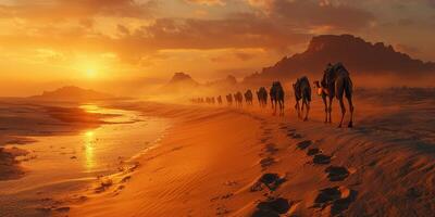 Majestic Camel Caravan at Sunset in the Desert photo