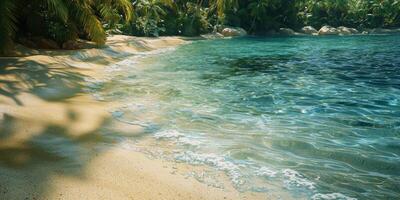 Tropical Beach Paradise Crystal Clear Ocean Golden Sand Palm Trees photo