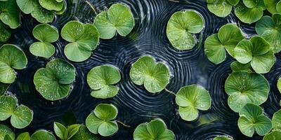 Lush Green Water Lily Pads on Calm Pond Surface Nature Plants Seamless Pattern photo