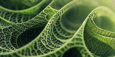 Abstract Green Leaf Macro Nature s Geometric Design High Resolution Detail photo