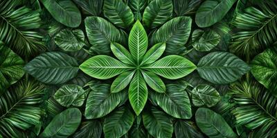 Lush Green Tropical Leaves Nature Background Foliage Pattern photo