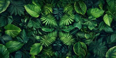 Lush Green Tropical Leaves Foliage Background Nature Texture photo
