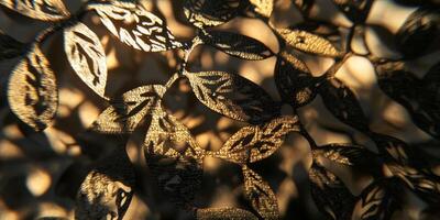 Golden Hour Leaf Shadows Intricate Nature Detail photo