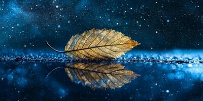 Golden Leaf Reflecting Starry Night Sky Nature Serenity Autumn Water Macro photo