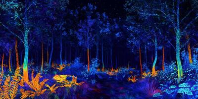 Bioluminescent Forest Night Glowing Plants Trees Fantasy Nature Scene photo