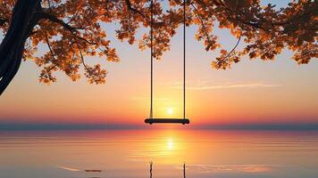 Sunset view with swing hanging from tree photo