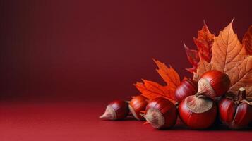 Autumnal Still Life With Chestnuts and Maple Leaves photo