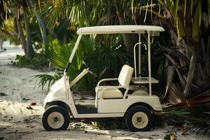 Sleek White Golf Cart Positioned for Leisure and Sporty Recreation on the Golf Course photo
