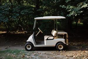White Golf Cart Ready for Use on the Green, Emphasizing Modern and Elegant Transportation photo