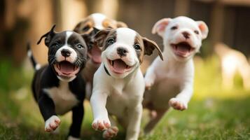 A Lively Group of Cute Puppies Frolicking Together photo