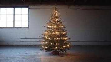 A Decorated Christmas Tree in a Room with a Window photo