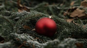 Red Christmas Ornament Nestled in Snowy Evergreen Branches photo