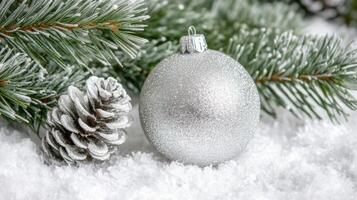 Silver Christmas Ornament and Pine Cone on Snowy Surface photo