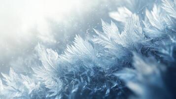 Delicate Ice Crystals Forming a Feathery Pattern photo