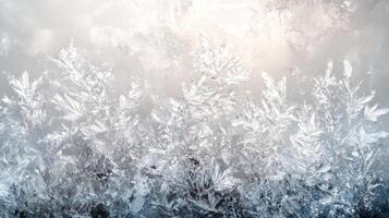 Delicate Frost Patterns on a Window Pane photo
