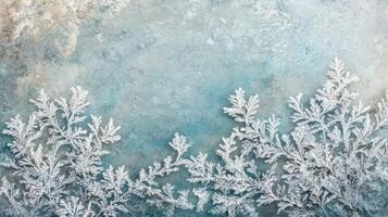 Frozen Fern Leaf Patterns on a Blue and Gray Background photo