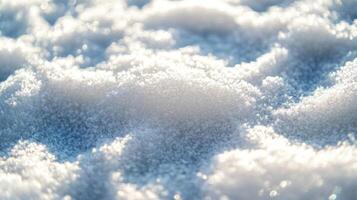 Close-up of Freshly Fallen Snow Glistening in the Sunlight photo