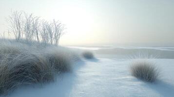 A Tranquil Winter Scene with Frost-Covered Grass and a Misty Horizon photo
