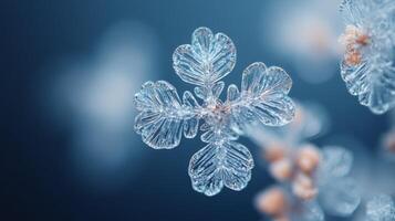 A Delicate Snowflake Branch with Intricate Crystal Patterns photo
