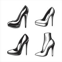 The Allure of the Heel vector