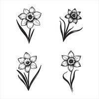 Dancing Daffodils in the Breeze vector