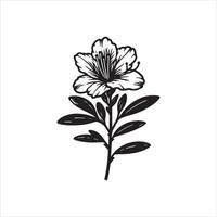 Petals of Purity Azalea in Bloom vector