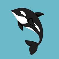 orca a shark with a white face and a black and white face. vector