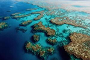 Aerial view of vibrant coral reefs in clear blue waters. photo