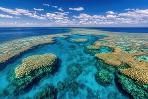 Aerial view of vibrant coral reefs in clear blue waters. photo